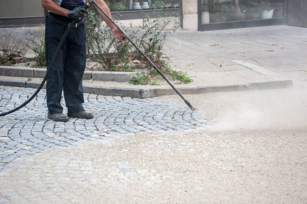 Best Warehouse Cleaning  in Wyoming, DE